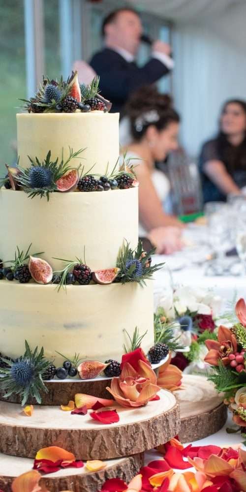 The Wedding Reception 2