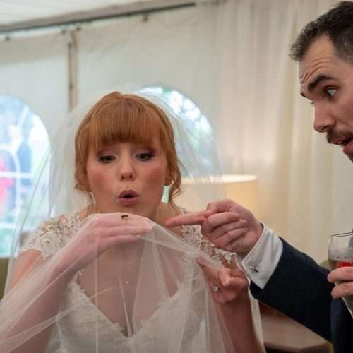Jack and Ruth find a wasp on her wedding dress